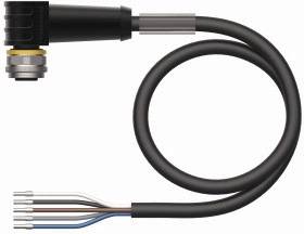 Schwarzes, spiralförmiges Kabel mit einem Metallstecker an einem Ende und offenen Drähten in Braun, Blau und Weiß am anderen Ende.