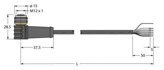 Anschlussstecker-Diagramm: zeigt Maße eines Steckers mit M12-Gewinde und Kabeln. Gesamtlänge (L) unbestimmt.
