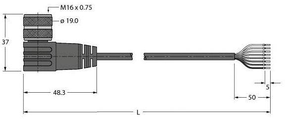 Technische Zeichnung eines Steckverbinders mit Maßen. Links: Stecker M16 x 0,75, Durchmesser 19 mm. Rechts: Kabel mit offenen Enden.