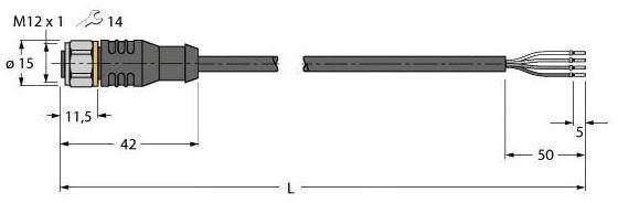 Technische Zeichnung eines Steckverbinders M12: Durchmesser 15 mm, Länge 42 mm, Gesamtlänge L, 4 Anschlussdrähte mit Abstand von 5 mm.