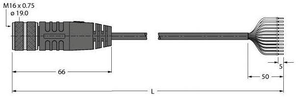 Technische Zeichnung eines M16 Steckers mit Maßen: Länge Stecker 66 mm, Länge Kabel 50 mm. Kabel hat 13 getrennte Drähte.