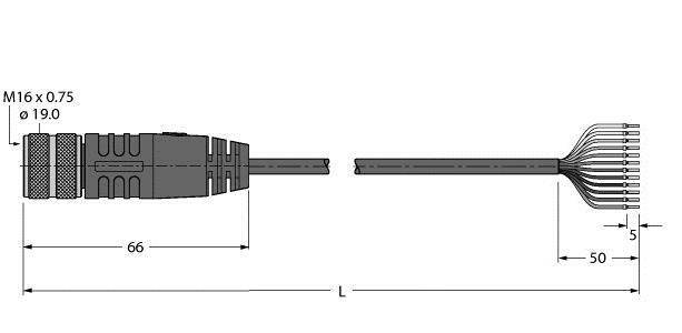 Technische Zeichnung eines Steckverbinders mit Kabelansicht und Beschriftungen: 'M16 x 0.75', 'Ø 19.0', und 'L'. Maße sind 66 mm und 50 mm.