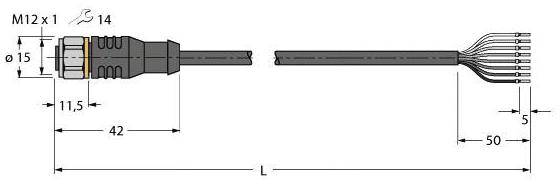 Diagramm eines M12-Steckers mit Abmessungen: Durchmesser 15 mm, Gesamtlänge 42 mm, Kabel mit hervorstehenden Drähten 50 mm lang.