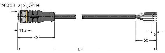 Abbildung eines M12 Steckverbinders mit Kabel. Länge des Steckverbinders beträgt 42 mm, Gesamtkabellänge 'L'. Maße und Diagramm der Abstände sind angegeben.