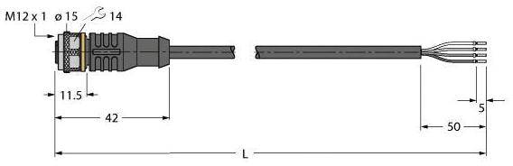 Steckverbinder mit M12 x 1 Gewinde, Maße: Länge 42 mm, Gesamtlänge 50 mm, Ø 15 mm. Kabel mit 5 mm freigelassene Drahtenden.