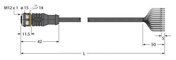 Technische Zeichnung eines M12-Steckers: Links Stecker mit Maßen 11,5 x 42 mm, rechts Kabelstränge, Gesamtlänge 'L', Endabstand 50 mm.