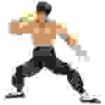 JADA TOYS Street Fighter II Fei-Long 6" Figure