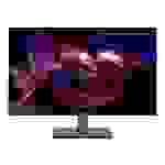 Lenovo TS/ThinkVision P32p-30 LED-Monitor EEK F (A - G) 80cm (31.5 Zoll) 3480 x 2160 Pixel 16:9 4 ms DisplayPort, Audio-Line-out