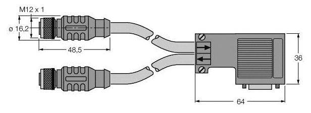 Technische Zeichnung eines Steckverbinders mit zwei Kabeln. Maße: 48,5 mm, 64 mm, 36 mm. M12 x 1 Gewinde. Pfeile zeigen Richtung.