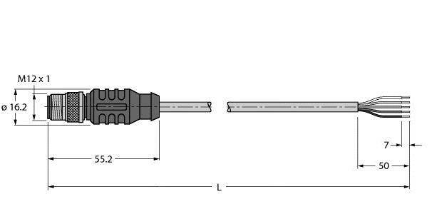 Diagramm eines M12-Steckverbinders mit Maßen: 16,2 mm Durchmesser, 55,2 mm Länge des Hauptkörpers, Kabellänge 50 mm, Endstruktur detailliert dargestellt.