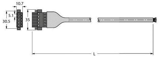 Stecker mit Maßen: Breite 10,7 mm, Höhe 30,5 mm, Drahtlänge L. Ansicht von vorne und von der Seite mit Beschriftung von 1 bis 5.