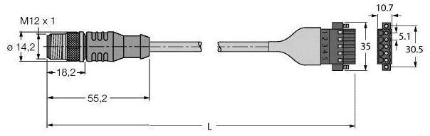 Technische Zeichnung eines Steckverbinders. Links die Gesamtansicht mit M12 × 1 Gewinde. Rechts Abmessungen: Länge 55,2 mm, Breite 30,5 mm.