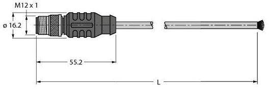 Technische Zeichnung eines Steckverbinders mit M12 x 1 Gewinde, 16,2 mm Durchmesser, 55,2 mm Länge, Kabelverbindung links.