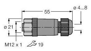 Steckerabmessungen: Gesamtlänge 55 mm, Durchmesser 4-8 mm, Gewinde M12 x 1, Schlüsselweite 19 mm.