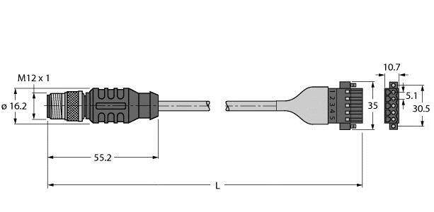Technische Zeichnung eines M12-Steckverbinders mit maßgeblichen Abmessungen: Länge 55,2 mm, Durchmesser 16,2 mm, Details der Pinbelegung.