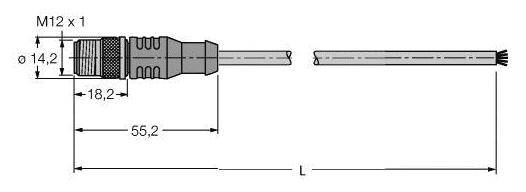 Technische Zeichnung eines M12 Steckers mit Maßangaben: Durchmesser 14,2 mm, Länge 55,2 mm bis Anfang Kabel. M12 x 1 Gewinde.