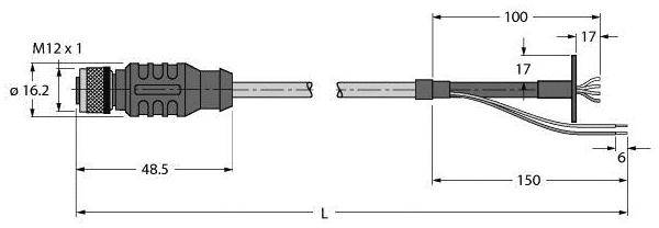 Abbildung eines M12-Steckers mit Abmessungen. Links ein Stecker, rechts offene Kabelenden. Maße: 48.5, 100, 150 mm; Durchmesser: 16.2 mm.