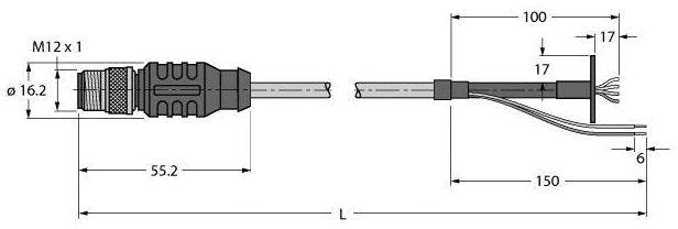 Steckverbinderplan: links ein M12 Stecker, rechts Kabelenden. Maße: Stecker 55,2 mm, Leitung 150 mm, gesamt L. Durchmesser 16,2 mm.