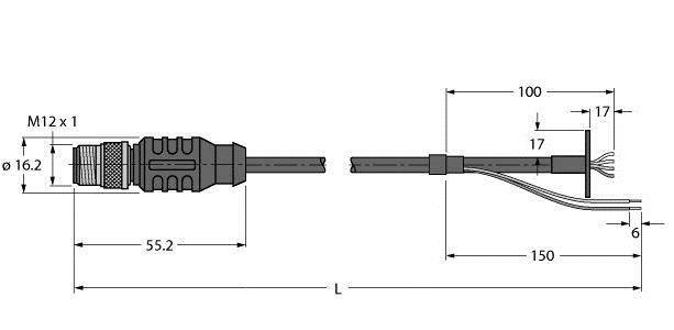 Technische Zeichnung eines M12-Steckers mit Abmessungen. Links: 16,2 mm Durchmesser, 55,2 mm Länge. Rechts: 100 mm und 150 mm Kabellänge.