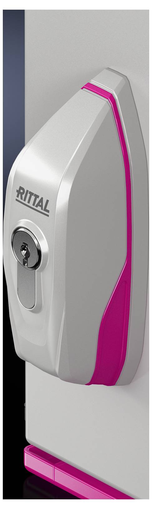 Rittal AX 1485.600 Komfortgriff Lichtgrau 1 St.
