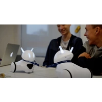 Photon Roboter PE-PHYSIK Fertiggerät PE_PSK Physik Photon Roboter PE-PHYSIK Fertiggerät PE_PSK Physik