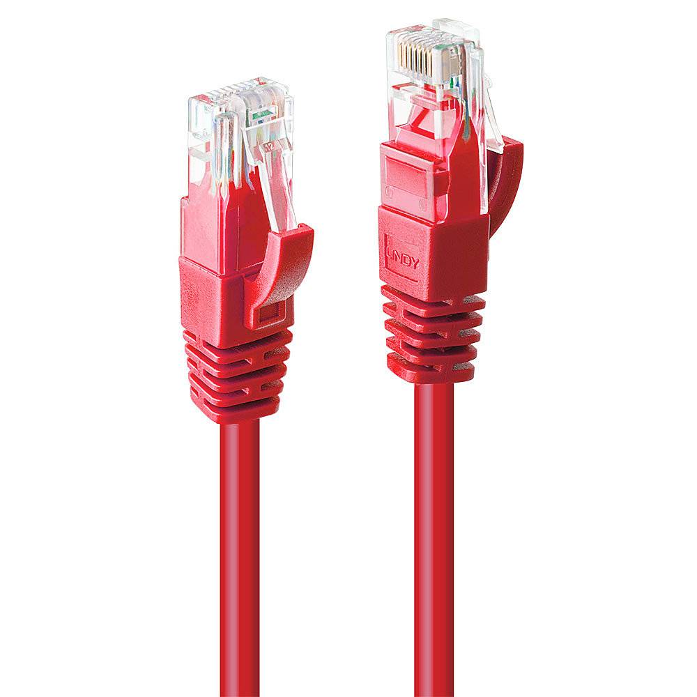 Zwei rote Ethernet-Kabel mit RJ45-Steckern, die aufrecht nebeneinander stehen. Geeignet für Netzwerkverbindungen.