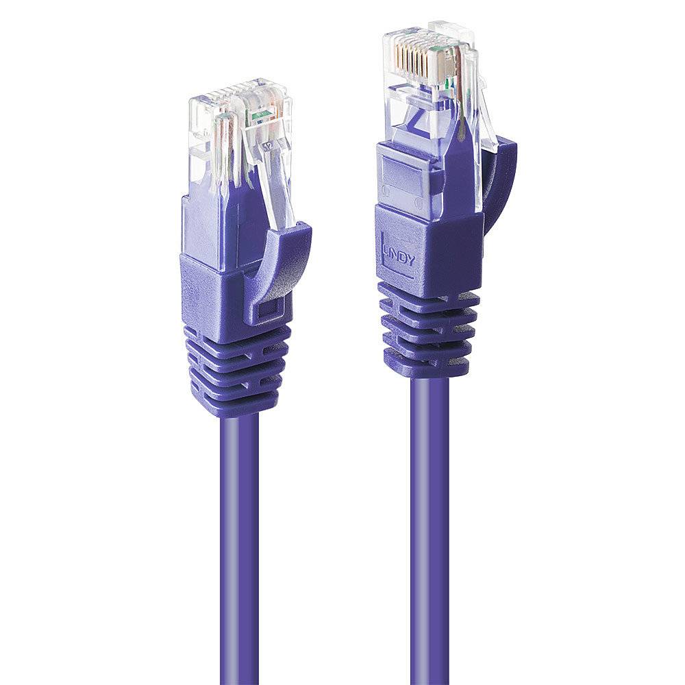 Ein lila Ethernet-Kabel mit einem RJ45-Stecker, der für Netzwerkverbindungen in Computernetzwerken verwendet wird.