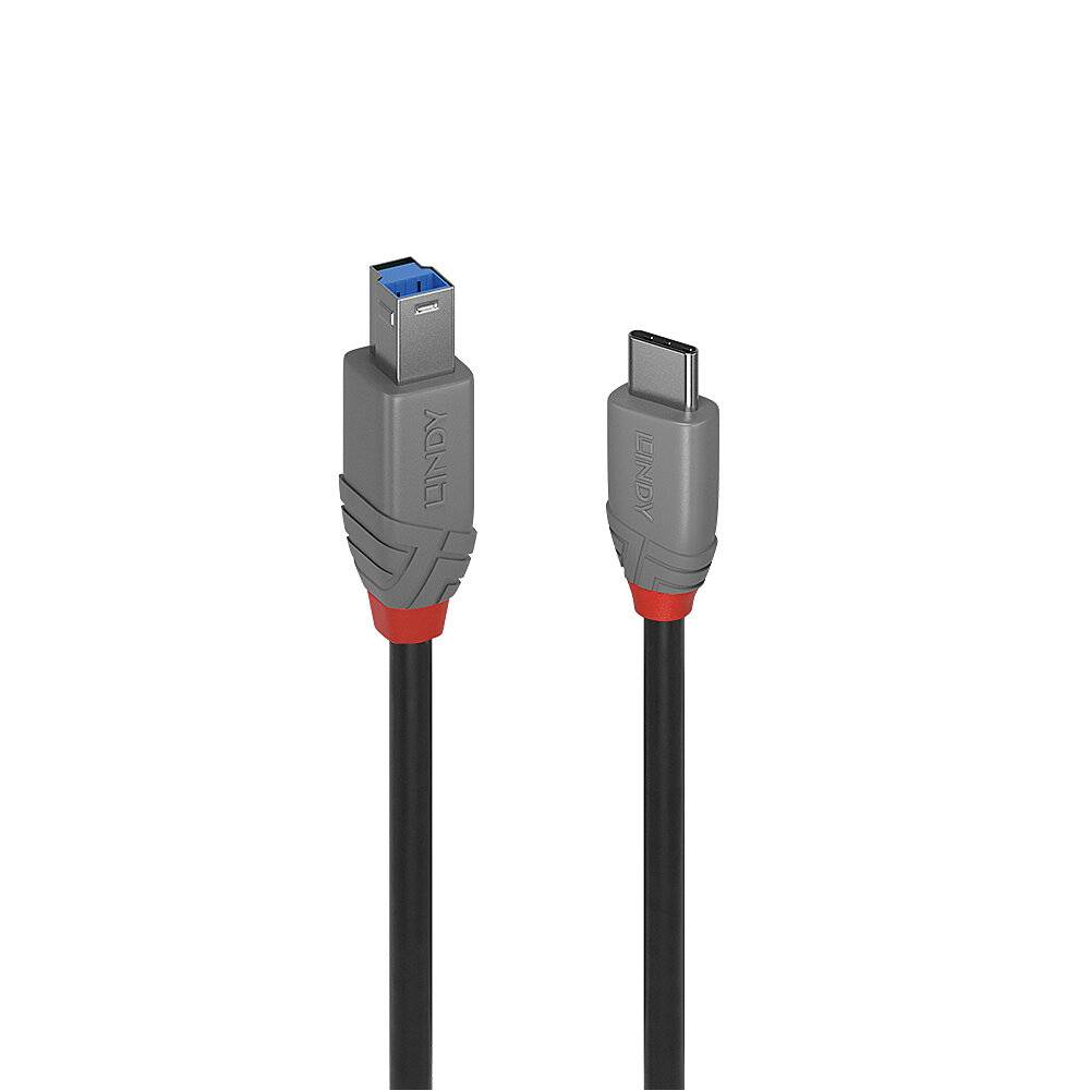 Zwei Kabelstecker: links ein USB-A und rechts ein USB-C Stecker, beide grau mit roten Enden, auf einem weißen Hintergrund.