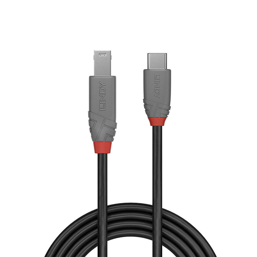 Zwei Kabel, eines mit USB-C und das andere mit einem rechtwinkligen Stecker, durch eine rote Markierung hervorgehoben.