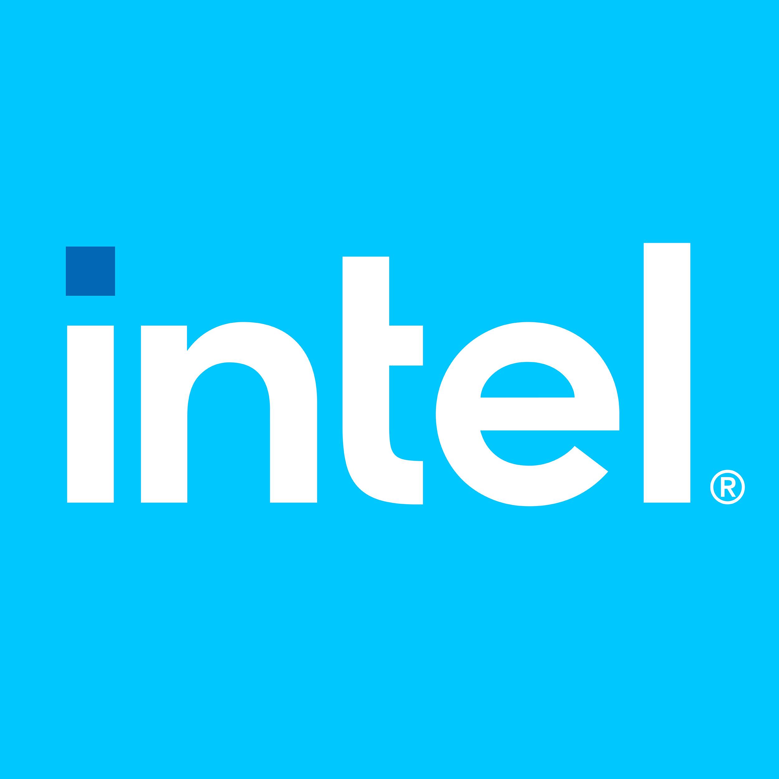 Intel Strom Anschlusskabel 0.6m Schwarz