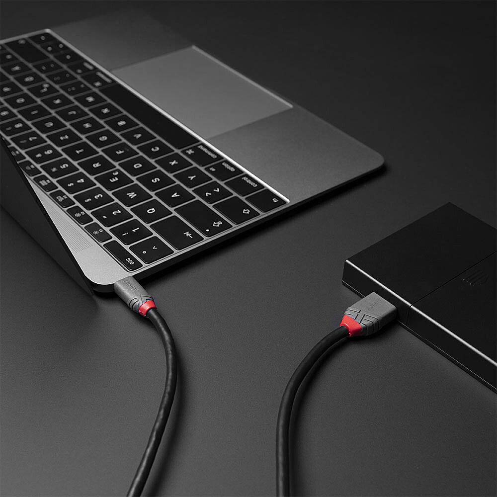 LINDY USB-Kabel USB 3.2 Gen1 USB-C® Stecker, USB-Micro-B 3.0 Stecker 2.00 m Schwarz 36622