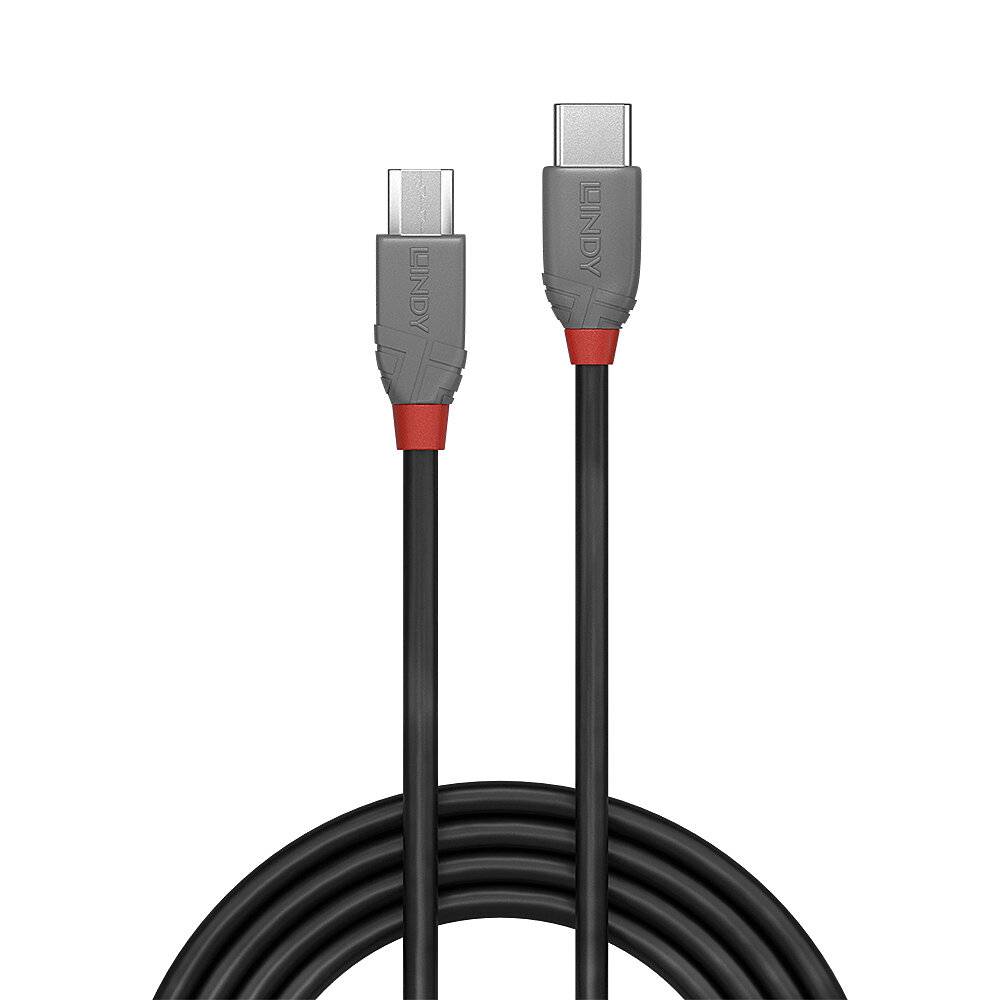 Ein schwarzes USB-C-auf-USB-C-Kabel mit roten Akzenten.