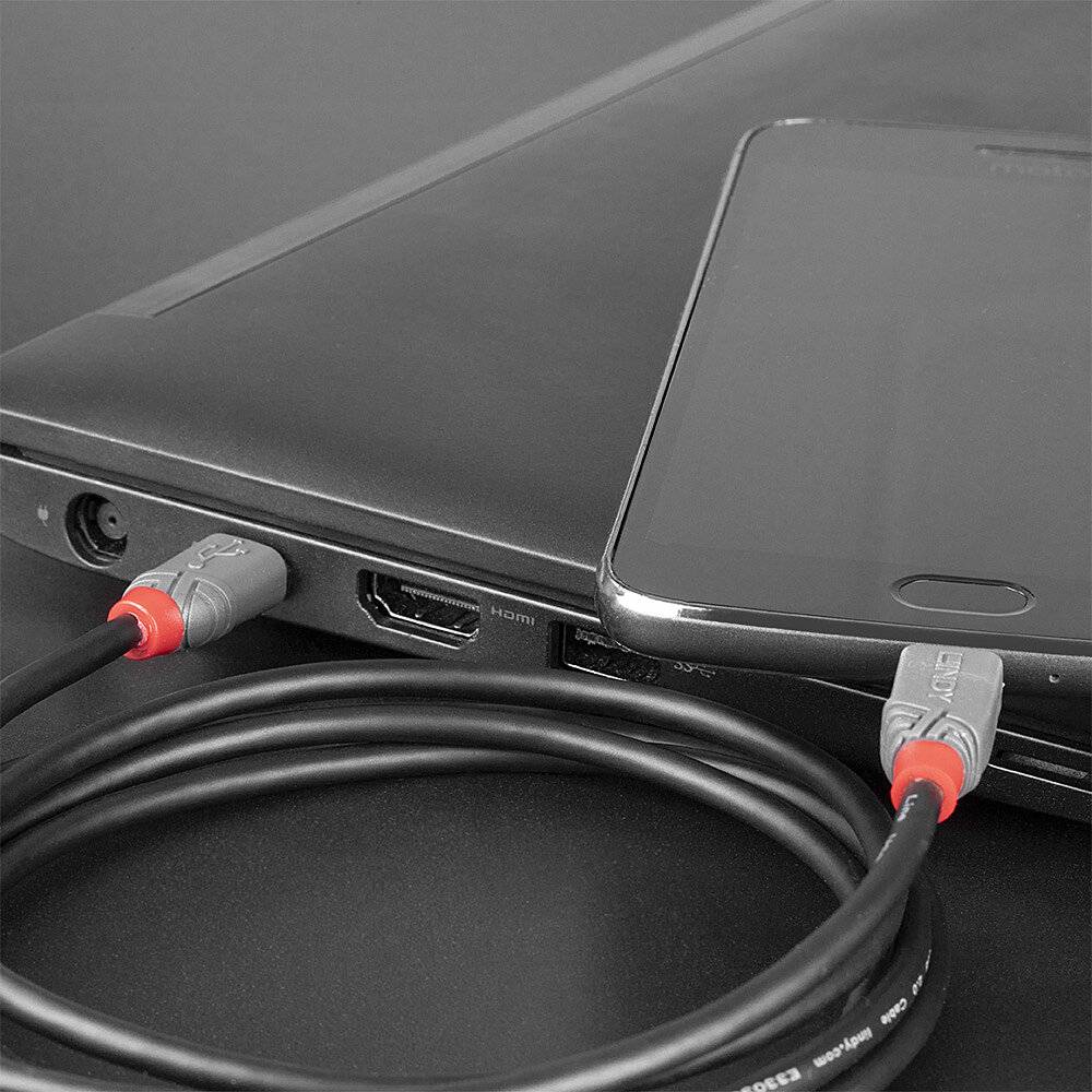 Smartphone lädt durch Verbindung mit einem Laptop über ein USB-Kabel.