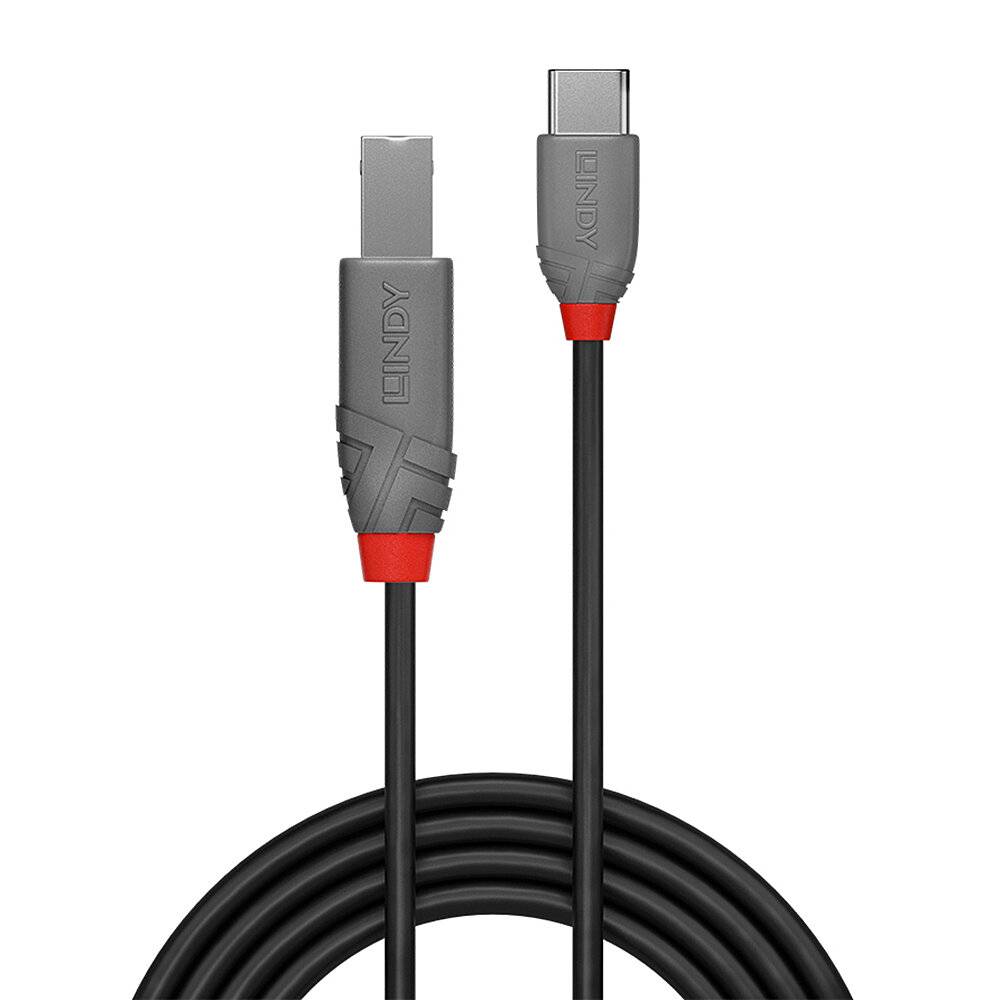 USB-Kabel mit einem USB-A- und einem USB-C-Stecker. Steckverbindungen aus grauem Kunststoff mit rotem Akzent, schwarzes Kabel.