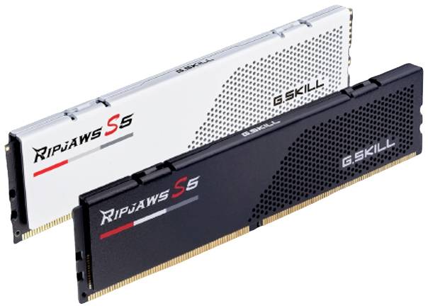 G.Skill F5-6000J3238F16GX2-RS5K PC-Arbeitsspeicher Kit DDR5 32 GB 2 x 16 GB 288pin DIMM F5-6000J3238F16GX2-RS5K