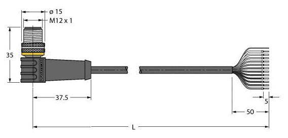 Technische Zeichnung eines M12-Steckverbinders mit Verkabelung. Abmessungen sind markiert: Spannung 15 mm, Länge 37,5 mm und 50 mm.