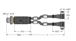 Technische Zeichnung eines M12-Steckverbinders mit doppeltem Kabelausgang. Maße und Verbindungsdetails sind angegeben.