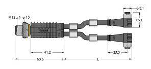 Technische Zeichnung eines Y-Kabels mit M12-Stecker und zwei Ausgängen. Maße angegeben in Millimetern.