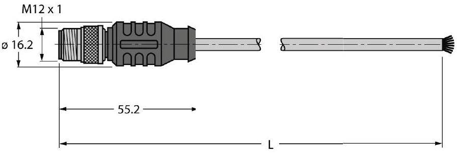 Technische Zeichnung eines M12-Steckers mit Maßen: Durchmesser 16,2 mm, Gesamtlänge 55,2 mm. Kabel mit offenem Ende rechts.
