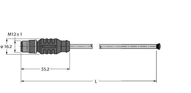Technische Zeichnung eines Steckverbinders mit M12 x 1 Gewinde, Länge 55,2 mm, Durchmesser 16,2 mm.