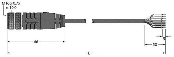 Zeichnung eines Steckers mit M16-Gewinde, zeigt Länge (66mm), Kabelenden (50mm), und Gesamtlänge (L). Anschlussdetails sichtbar.