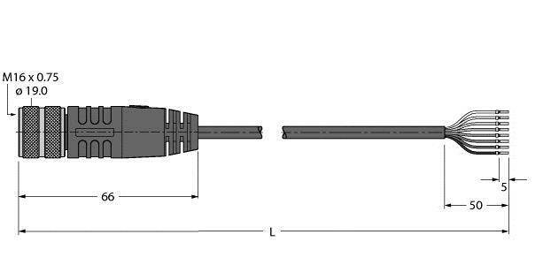 Technische Zeichnung eines elektrischen Steckverbinders mit Abmessungen. Links Steckverbinder, 66 mm lang, rechts Mehraderkabel. Markierungen: 'M16 x 0,75' und 'ø 19,0'.