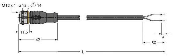 Technische Zeichnung eines M12-Steckverbinders mit Abmessungen von 42 mm Länge und 14 mm Durchmesser. Kabel ist 50 mm lang.