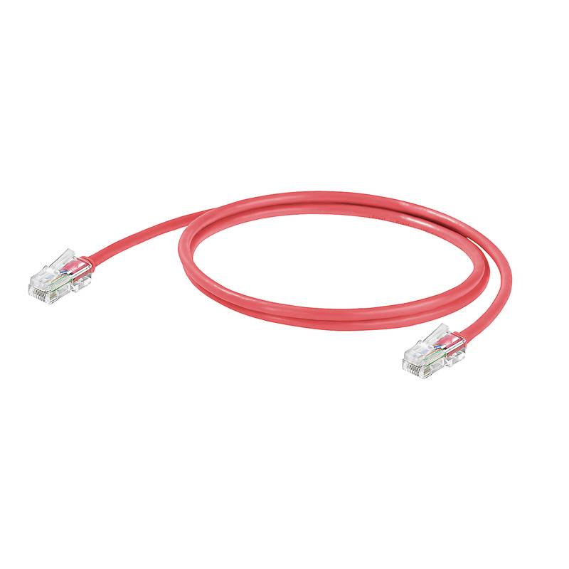 Rotes Ethernet-Kabel mit RJ45-Steckern an beiden Enden, auf weißem Hintergrund, bereit für die Verbindung von Netzwerkgeräten.