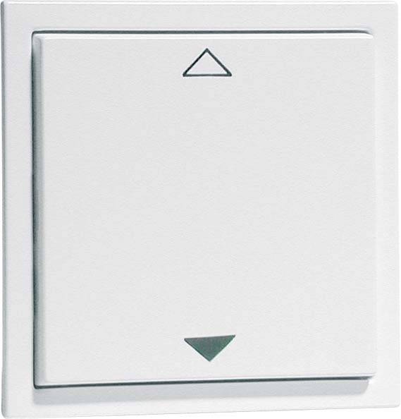 PEHA by Honeywell Komplett Wandsender Weiß 30213 1St.