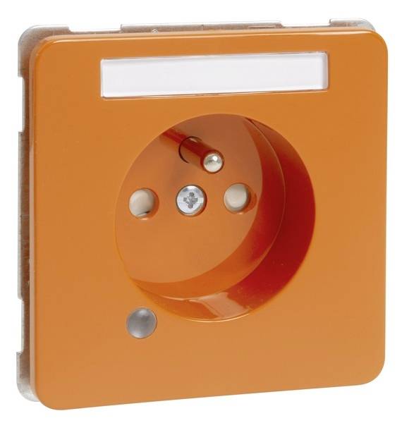 PEHA by Honeywell Einsatz Steckdose Orange 482441 1St.