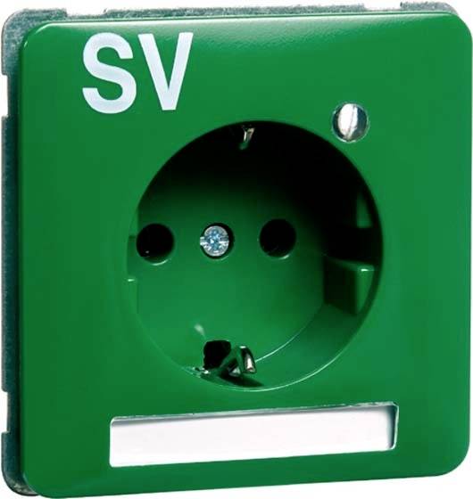 PEHA by Honeywell 1fach Einsatz Steckdose Grün 785111 1St.