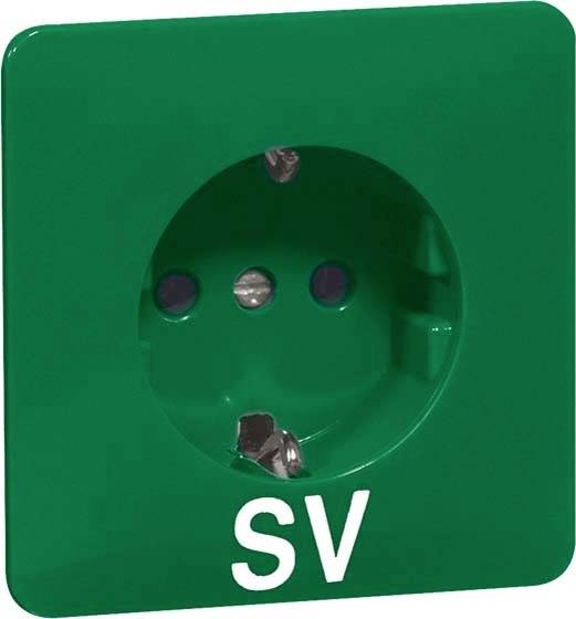 PEHA by Honeywell 1fach Komplett Steckdose Grün 800611 1St.