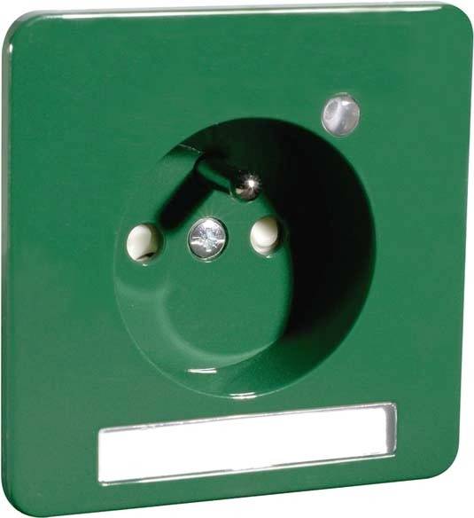 PEHA by Honeywell Komplett Steckdose Grün 483641 1St.