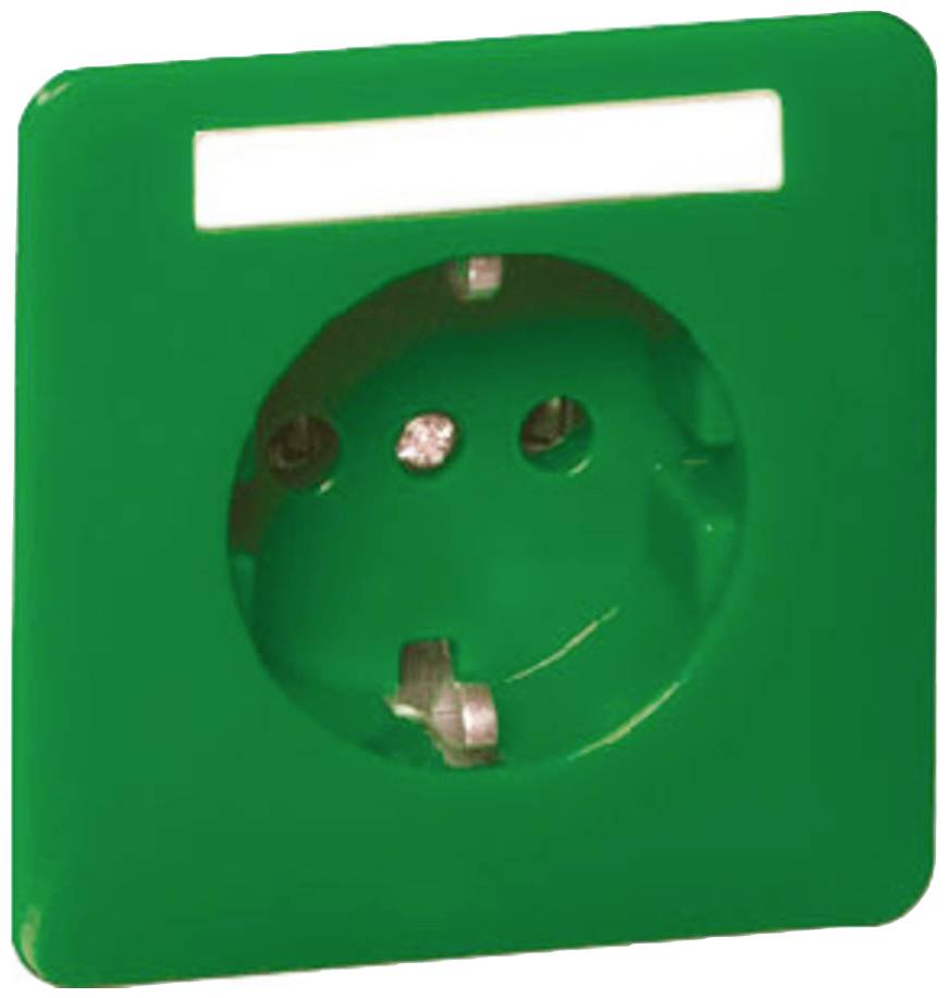 PEHA by Honeywell 1fach Einsatz Steckdose Grün 795611 1St.